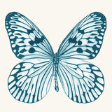 kes04_3