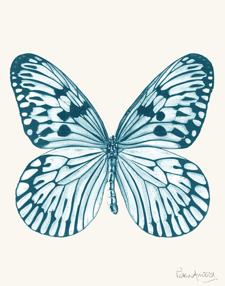 Fanciful Butterfly IV
