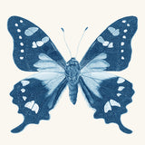 kes05_3