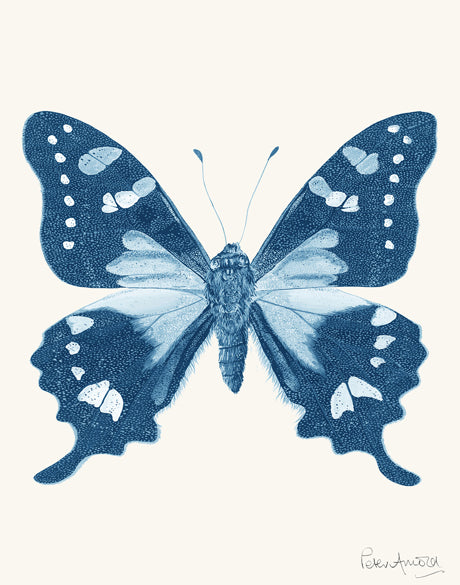 Fanciful Butterfly V