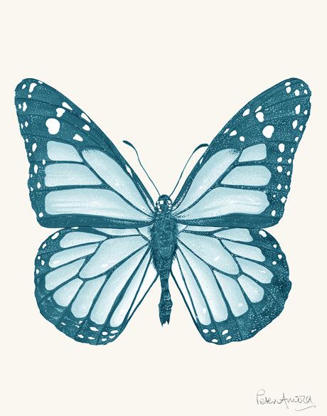 Fanciful Butterfly VI