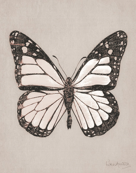Fanciful Butterfly VIII