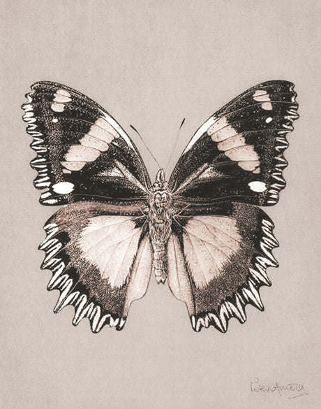 Fanciful Butterfly XI