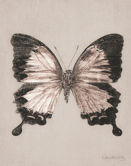 Fanciful Butterfly XII