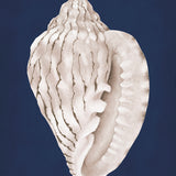 lamesa01_3