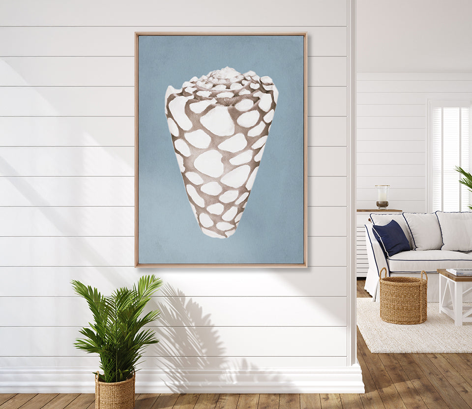 La Mesa Bay Shell V (Canvas)