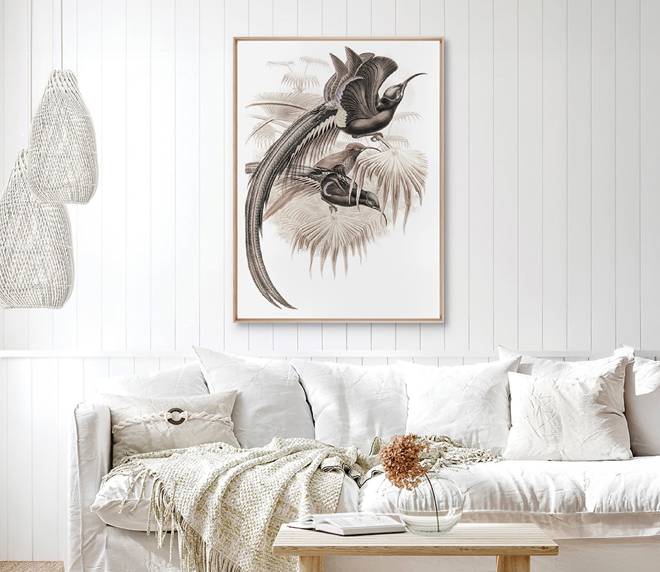 La Romieu Bird IV (Canvas)