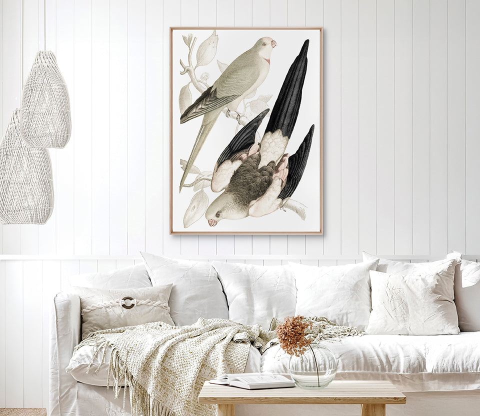 La Romieu Bird VI (Canvas)