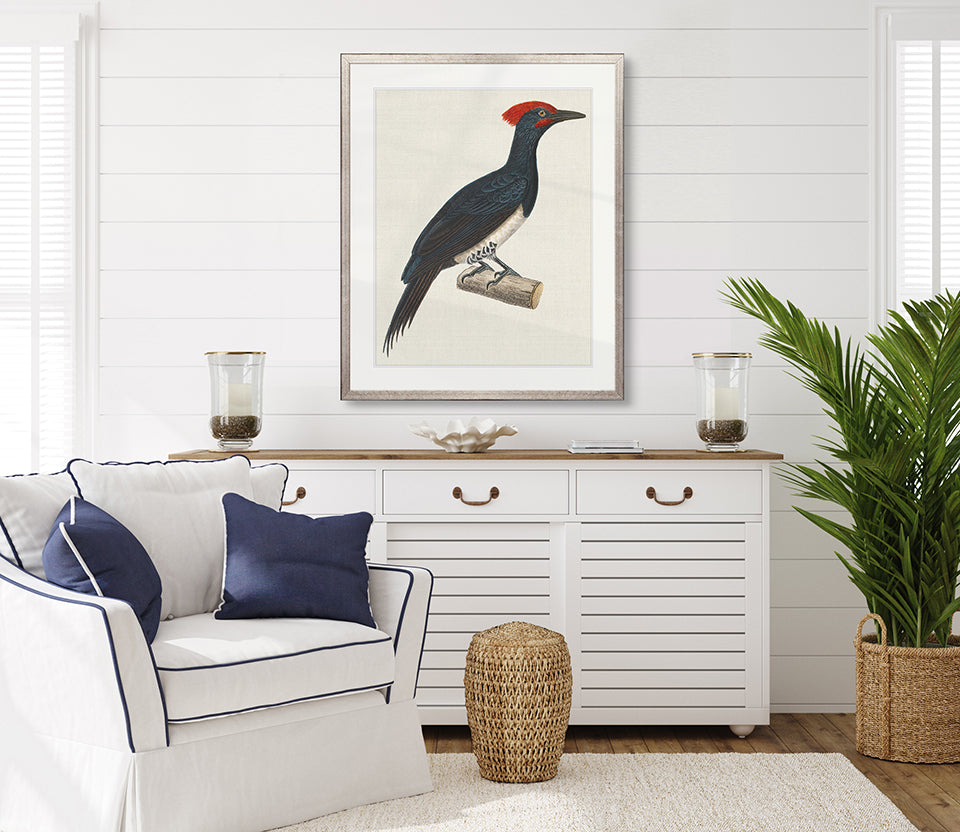 Enchanted Forest Bird VIII