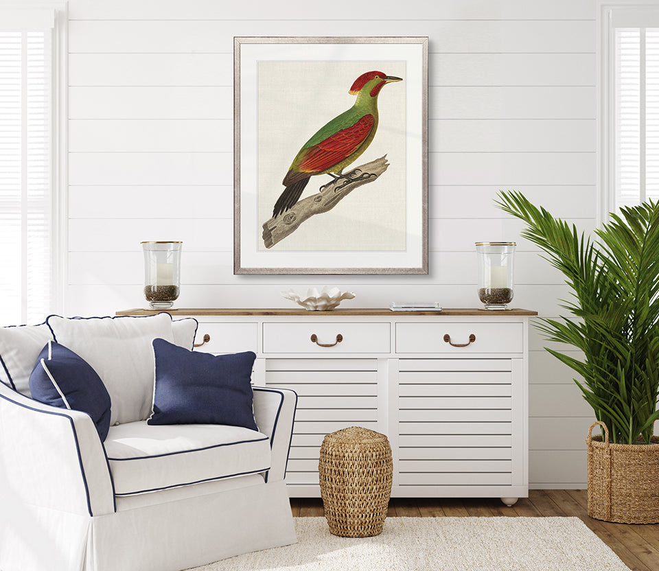 Enchanted Forest Bird X