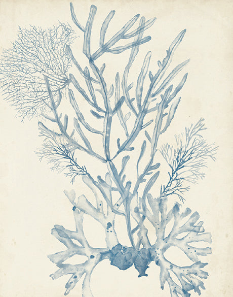 Seaweed Collage II (Pale Blue)
