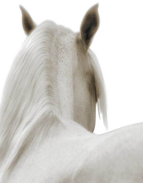 Les Chevaux II (Canvas)