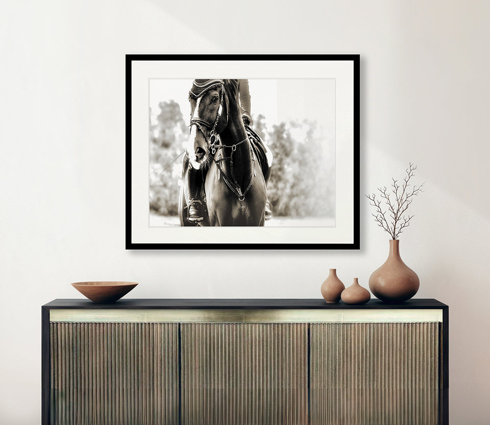 Equestre II
