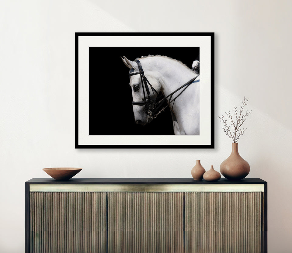 Equestre III
