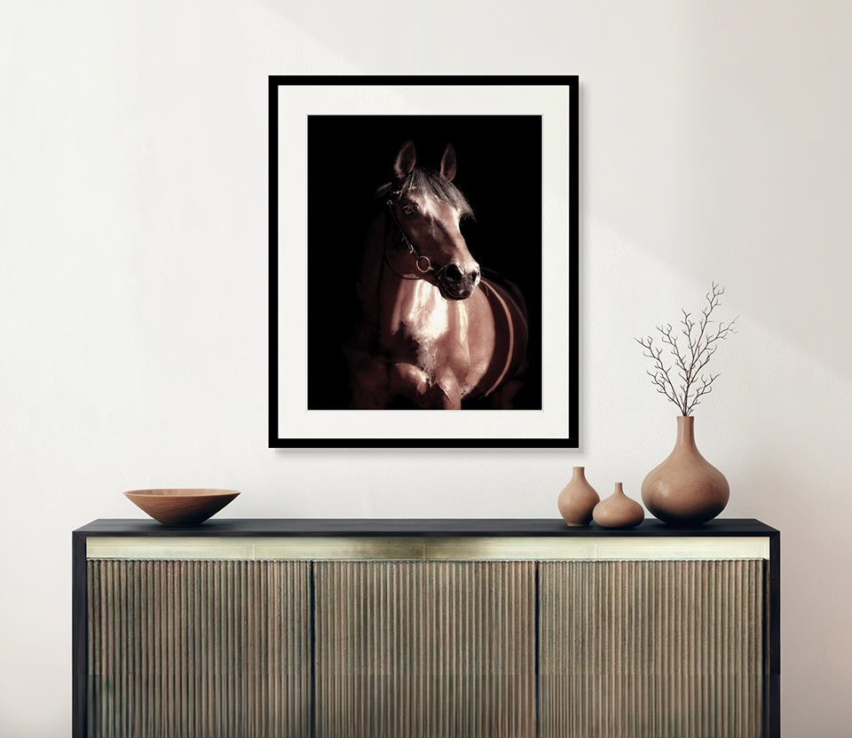 Les Chevaux VI