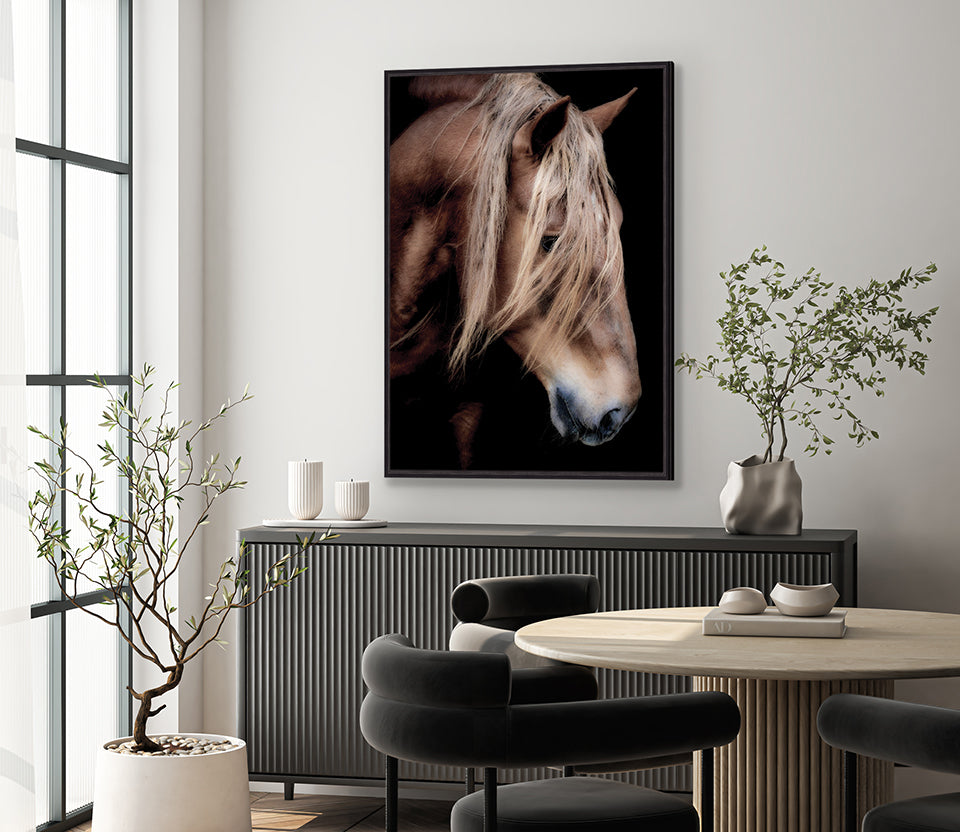 Equestre VI (Canvas)