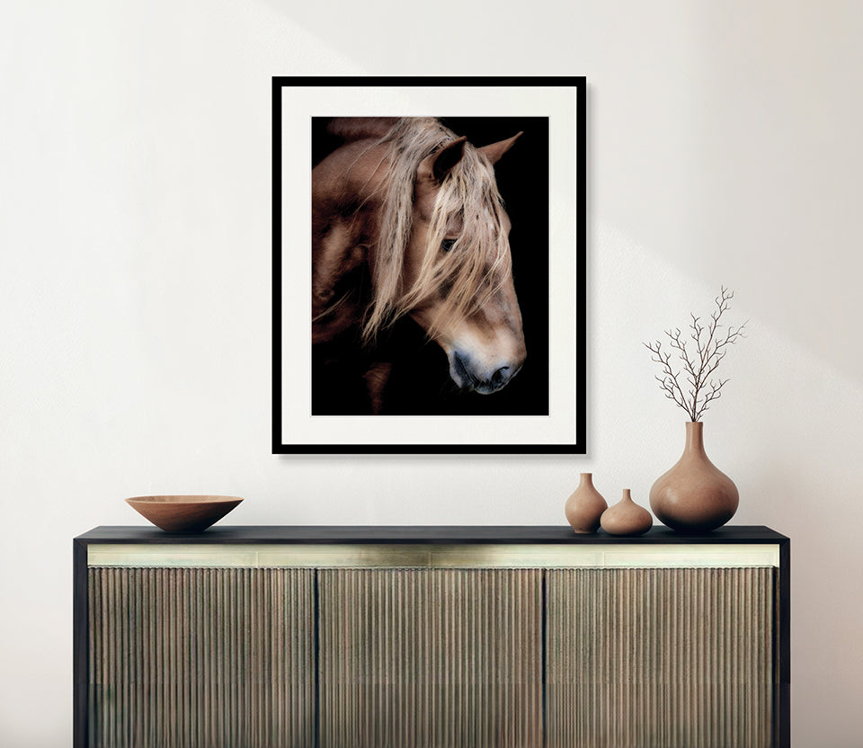 Equestre VI