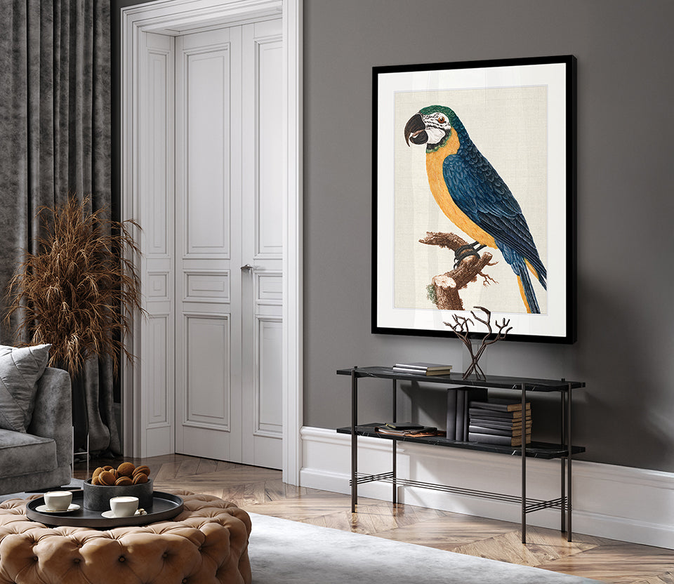 Naturelle des Perroquet II