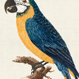 lev02_3