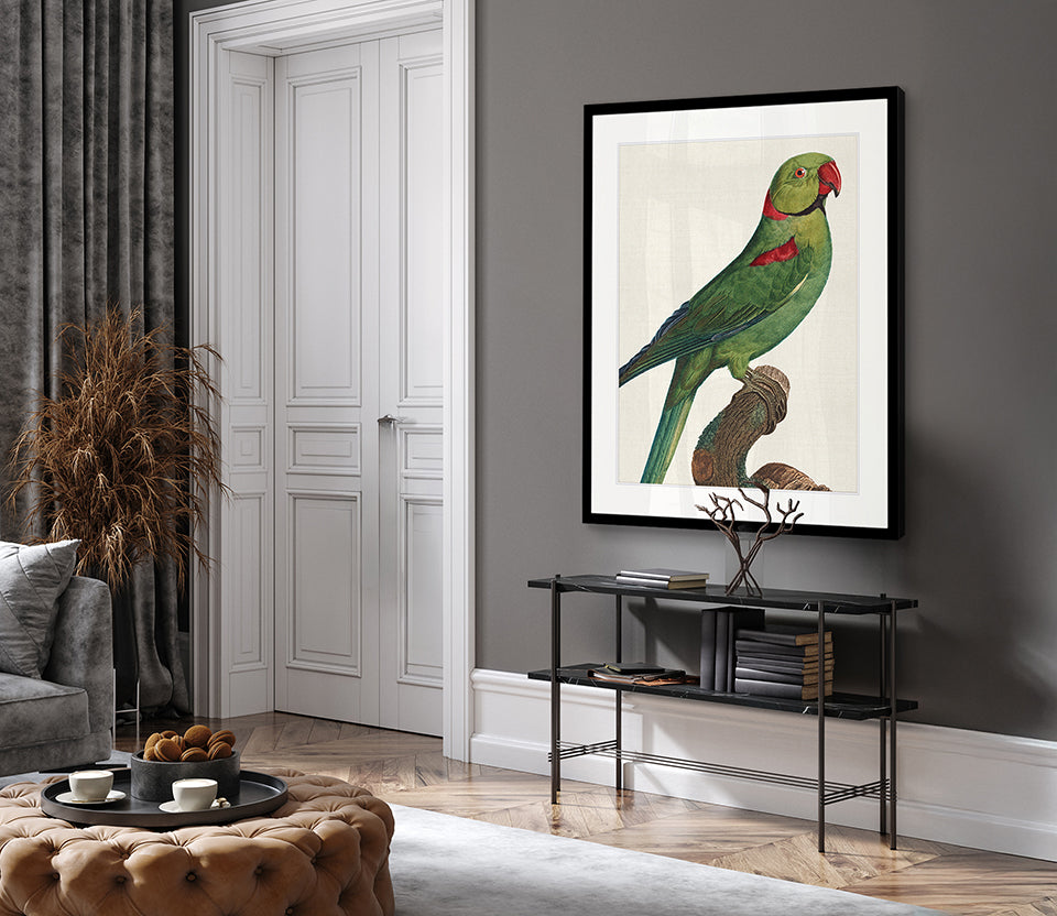 Naturelle des Perroquet V