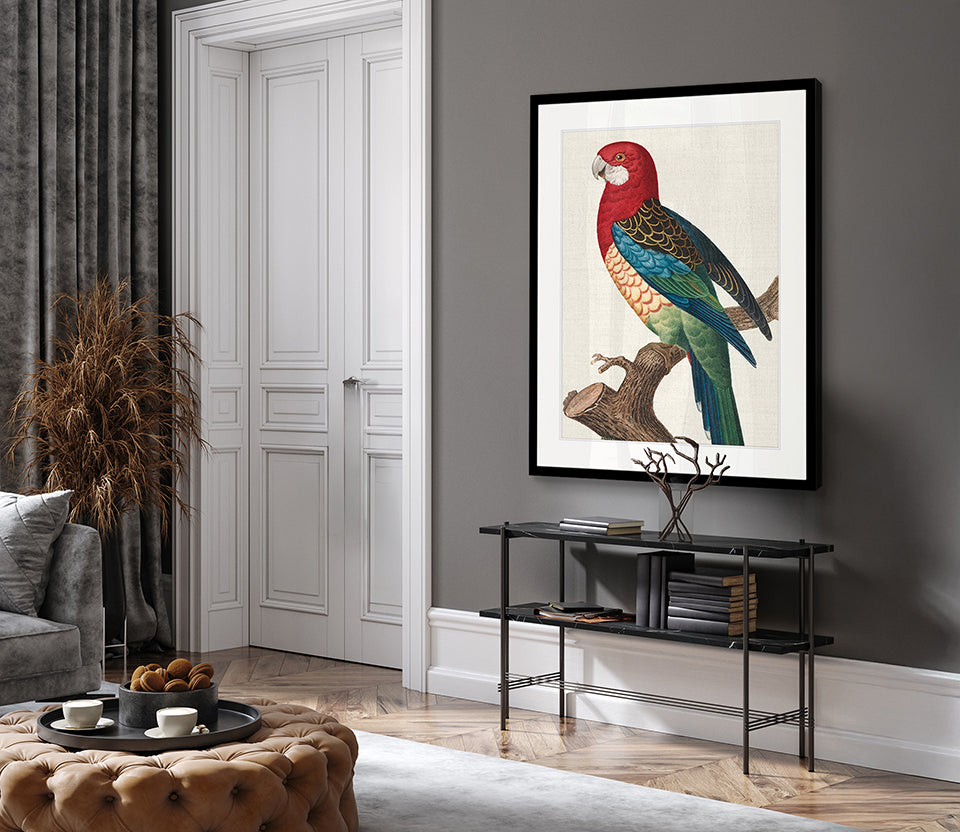 Naturelle des Perroquet VI