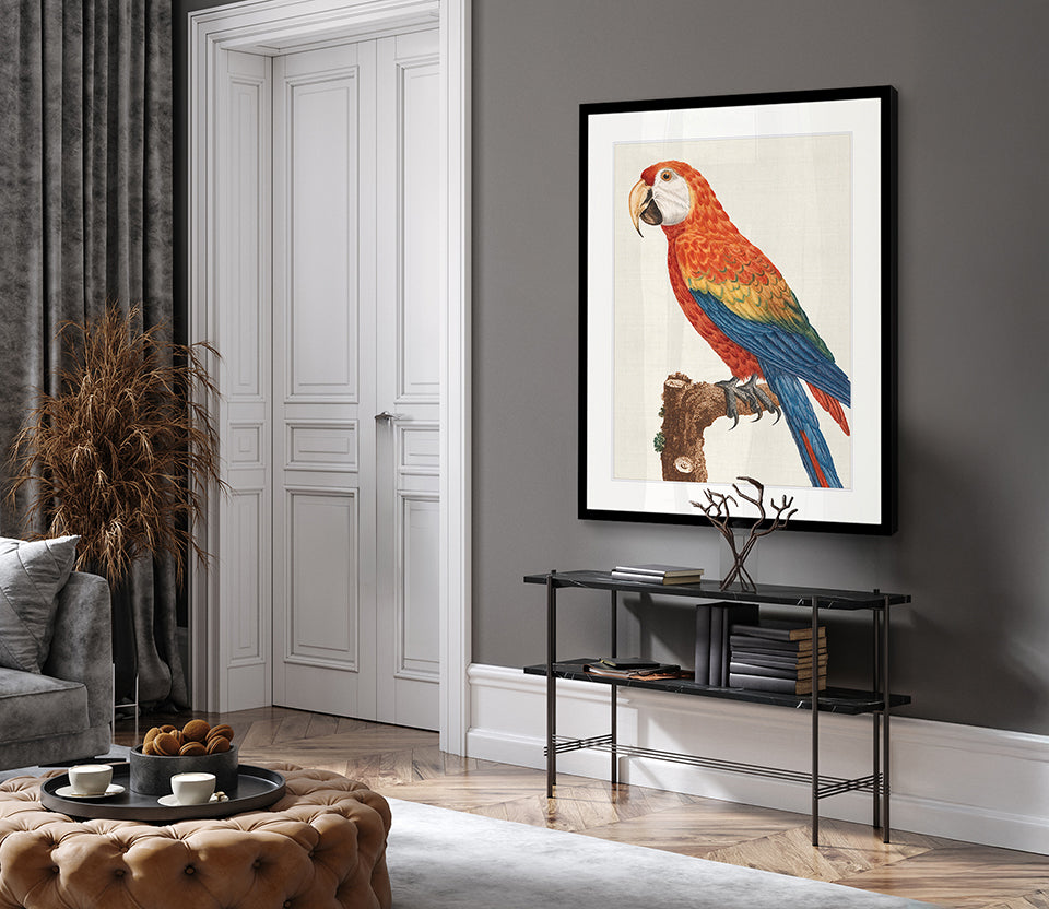 Naturelle des Perroquet VIII