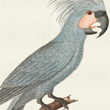 lev10_3