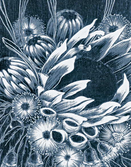 Lillianfels Native XXII