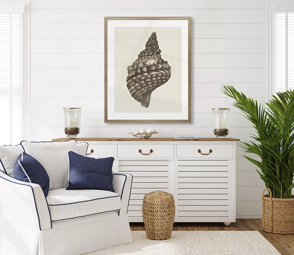 Black & White Shell I