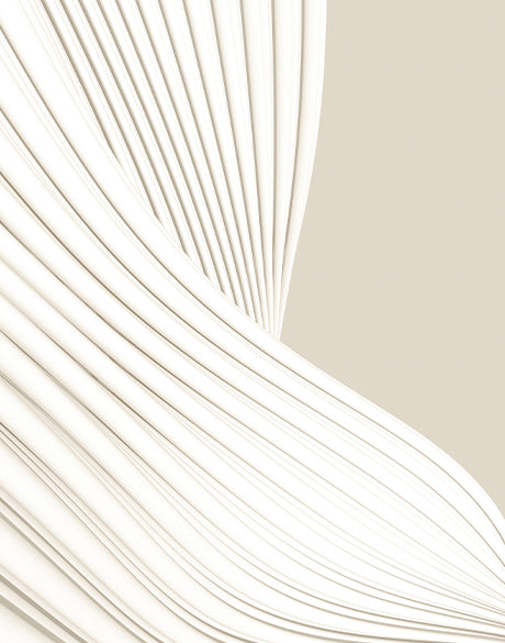 Architectural Curves IV