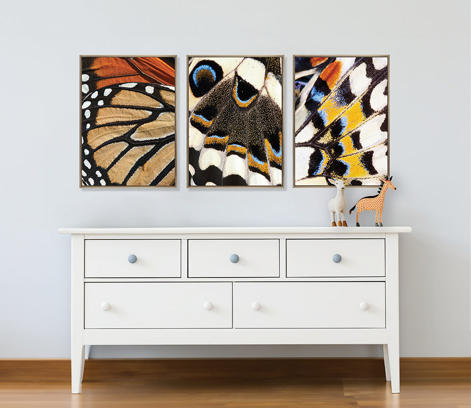 Macey Butterfly I (Canvas)