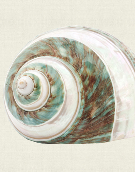 Shell Subject I