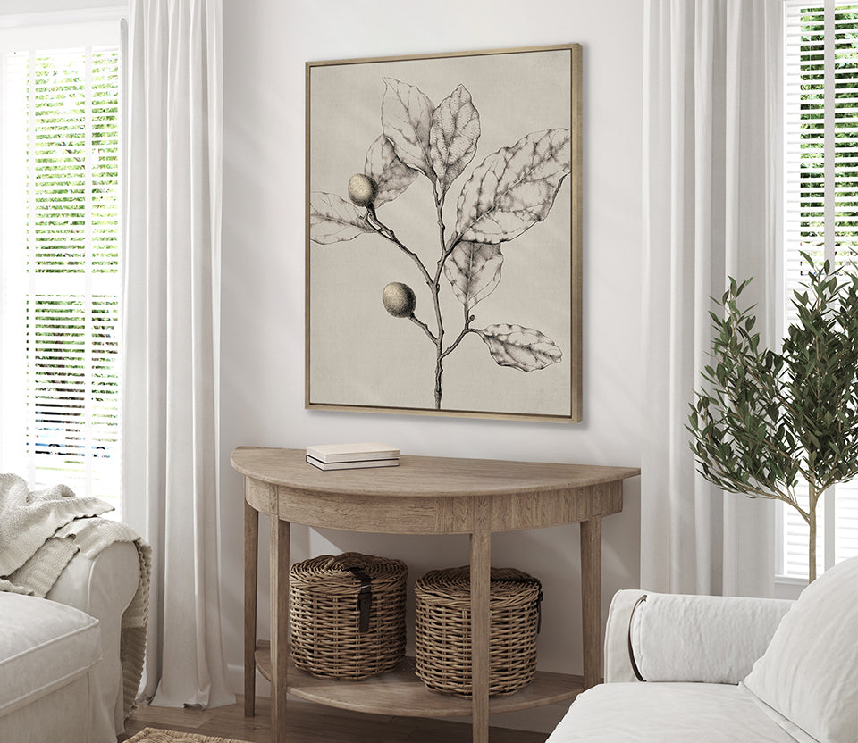 Maiden Beauty IV (Canvas)