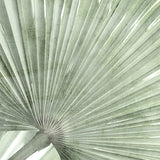mandal01_3