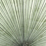 mandal04_3