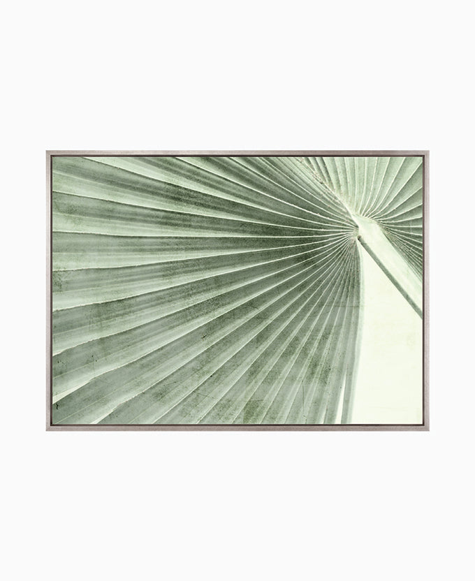 Palm Silhouette (Pale Green) V (Canvas)