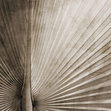 mandal08_3