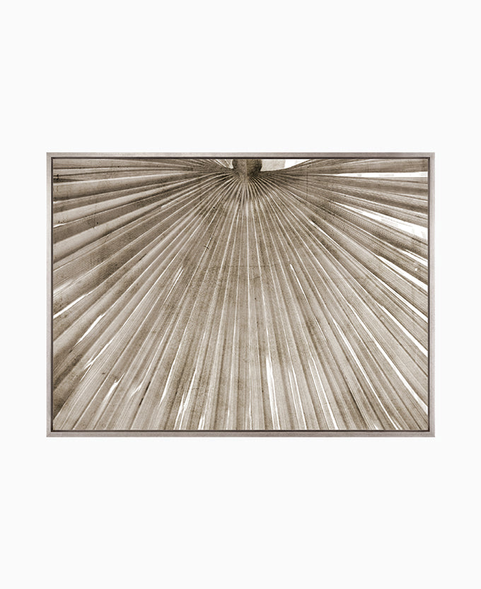 Palm Silhouette (Taupe) IX (Canvas)