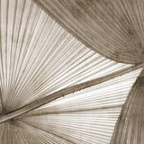 mandal12_3