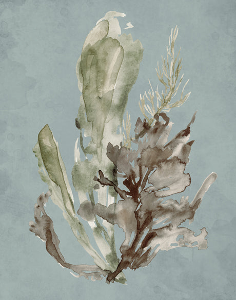 Margate Coral I