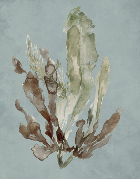 Margate Coral III