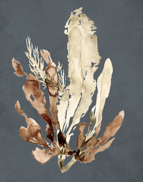 Margate Coral IX