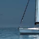 marina08_3