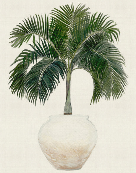 Palm Beauty I