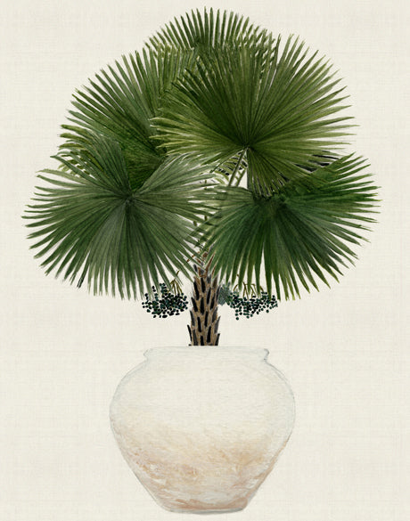 Palm Beauty IV (Canvas)