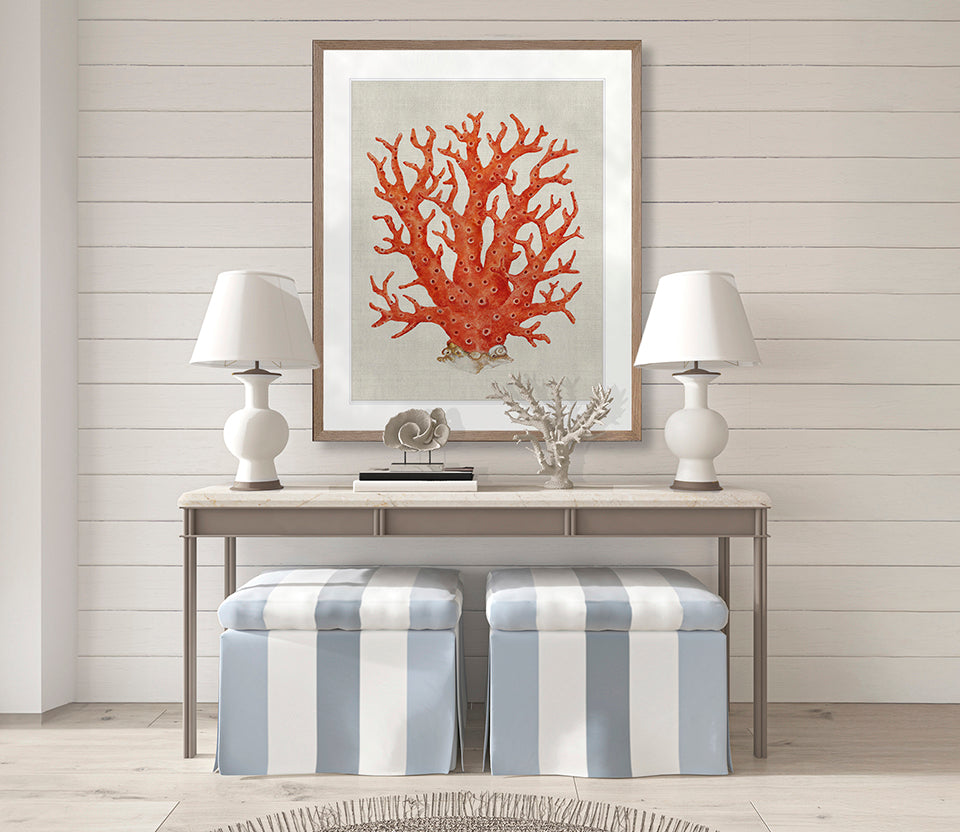 Coral SPLENDOUR (Red) I
