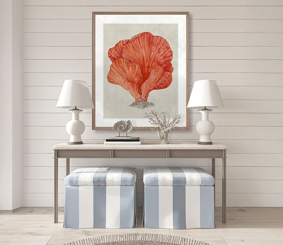 Coral SPLENDOUR (Red) II