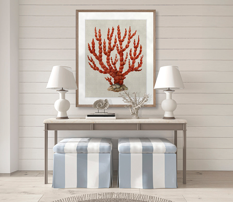Coral SPLENDOUR (Red) III