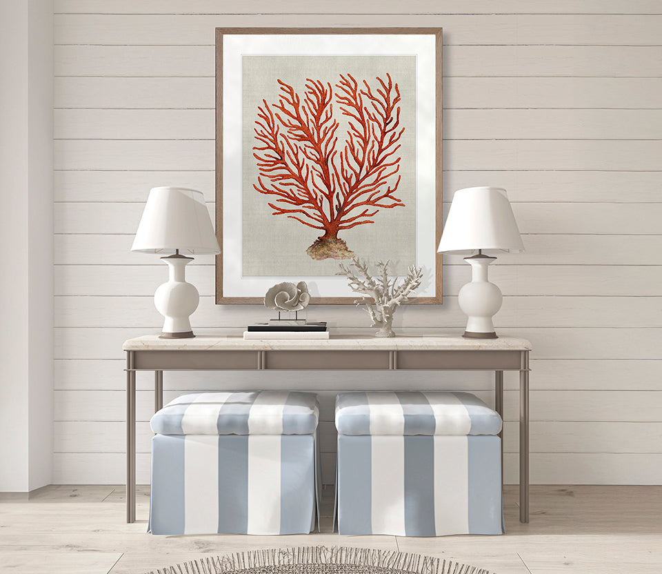 Coral SPLENDOUR (Red) VI