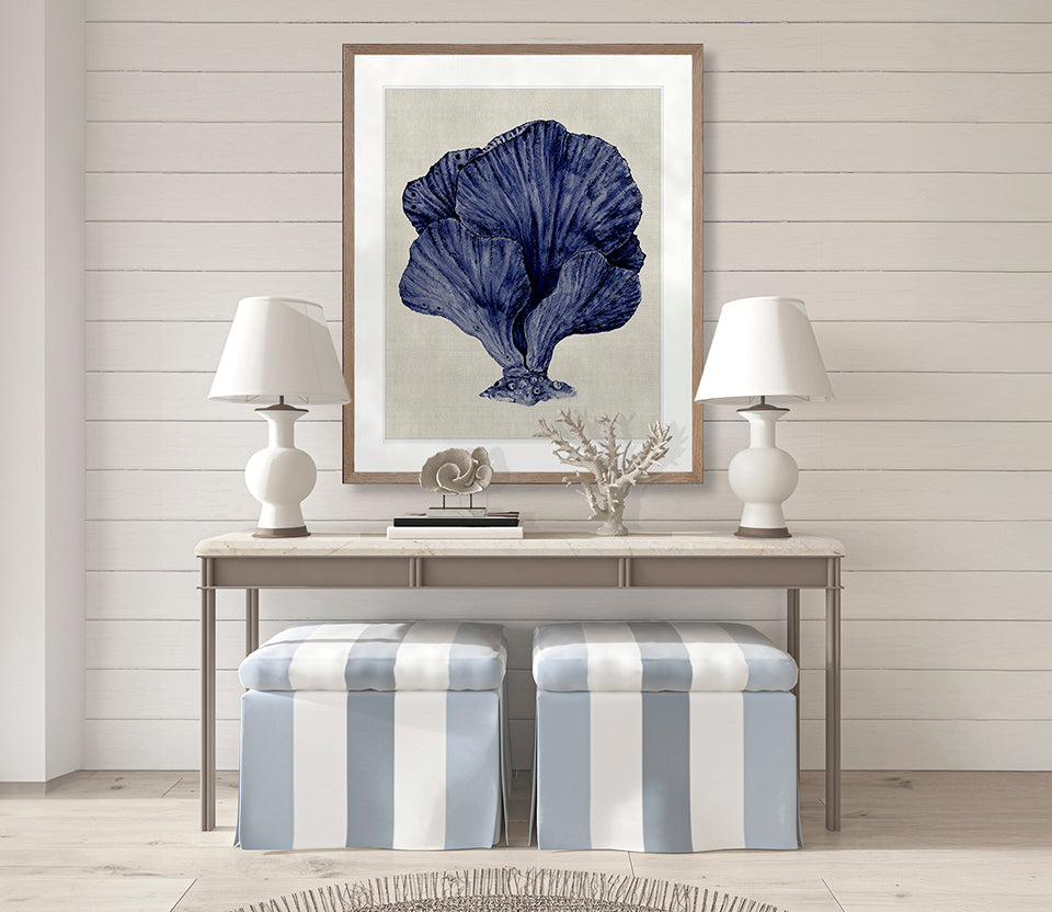Coral SPLENDOUR (Indigo) VIII